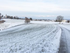 20190109-11-winter-schnee