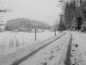 20210115-schneefall-winter