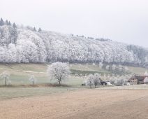 _R5_6029-raureif-winter-buetikofen-32-kirchberg-raw