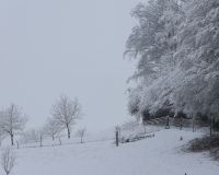 _R7_1737-waldrand-winter-neuschnee-kirchberg