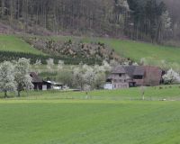 _R7_4356-fruehling-buetikofen-kirchberg