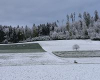 _R7_4358-fruehling-schnee-18.04.2024-buetikofen-kirchberg