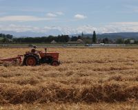 _R5_3886-stroh-traktor-wydenhof-kirchberg-alpen