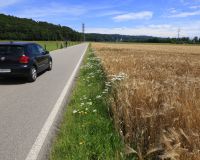 _R5_3917-kirchberg-eystrasse-sommer-kornfeld-gerste