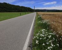 _R5_3919-kirchberg-eystrasse-sommer-kornfeld-gerste