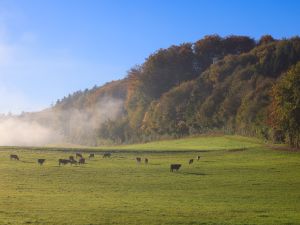 20241021-herbst