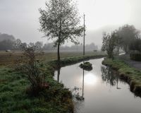 _R5_3085-kuhweide-nebel-herbst-gruetbach-mülibüüne-kirchberg