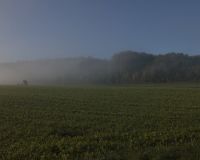 _R5_3109-nebel-herbst-feld-waldrand-buetikofen-kirchberg