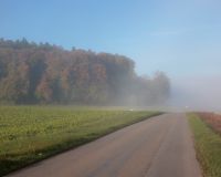 _R5_3110-nebel-herbst-feld-waldrand-strasse-60-buetikofen-kirchberg