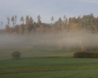 _R7_5085-nebel-herbstwald-buetikofen-kirchberg