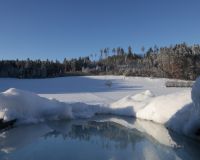 _R5_5227-winter-wald-schnee-buetikofen-kirchberg