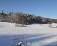 _R5_5232-winter-wald-schnee-buetikofen-kirchberg