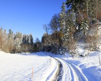 _R5_5242-winter-strasse-schnee weier-kirchberg