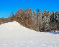 _R5_5243-winter-waldrand-schnee-weier-himmel-kirchberg