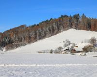 _R5_5248-winter-wald-schnee-weier-1-kirchberg