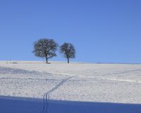 _R5_5261-winter-schnee-hoechfeld-kirchberg