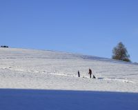 _R5_5264-winter-schnee-schlitteln-hoechfeld-post-kyburz-toeff-kirchberg