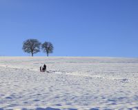 _R5_5268-winter-schnee-schlitteln-hoechfeld-familie-kirchberg