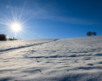 _R5_5270-winter-schnee-sonne-schlitteln-hoechfeld-familie-kirchberg-b