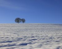 _R5_5273-winter-schnee-hoechfeld-nussbaum-kirchberg