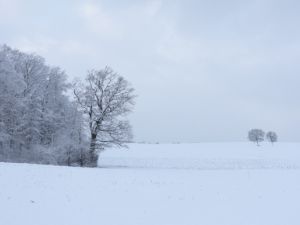 20240119-winter-schnee