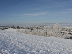 20250101-schnee-winter