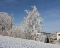 _R7_5153-hellacher-kirchberg-winter-raureif