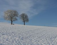 _R7_5160-nussbaum-hoechfeld-kirchberg-winter-schnee-raureif