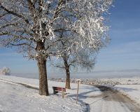 _R7_5161-nussbaum-hoechfeld-kirchberg-winter-schnee-raureif