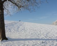 _R7_5164-nussbaum-spaziergaenger-hund-hoechfeld-kirchberg-winter-schnee-raureif