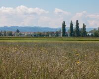 _R5_3463-muelibueuene-umfahrungsstrasse-kirchberg