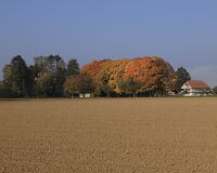 _R5_5177-alle-herbst-chleehof-10-kirchberg