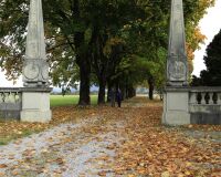 _R5_5233-chleehof-alle-herbst-kirchberg