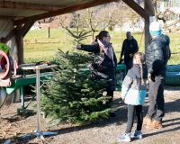_R5_1505-weihnachtsbaum-buetikofen-kirchberg