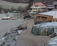 _R7_5531-buetikofen-weihnachtsbaeume-kirchberg-winter