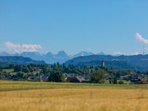 20250701-diverses