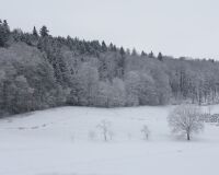 _R7_5607-winter-schnee-waldrand-buetikofen-kirchberg