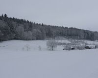 _R7_5612-winter-schnee-buetikofen-32-kirchberg