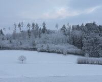 _R7_5674-schnee-marz-wald-buetikofen-kirchberg