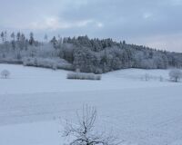 _R7_5675-schnee-marz-wald-buetikofen-kirchberg