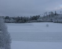 _R7_5677-schnee-marz-wald-buetikofen-kirchberg