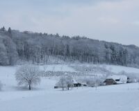 _R7_5679-schnee-marz-wald-buetikofen-32-kirchberg