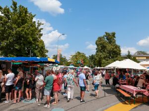 20260719-schnittersonntag