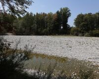 _R5_4646-emme-utzenstorf-trockenheit-hitze-km-8.5