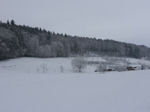 20260111-winter-buetikofen