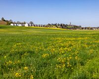 _R5_7772-kirchberg-kirche-hellacher-fruehling-raw-topaz